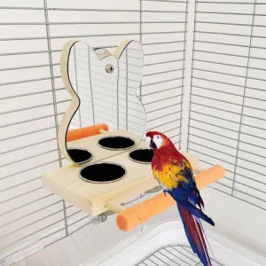 Bird's Feeder with Mirror