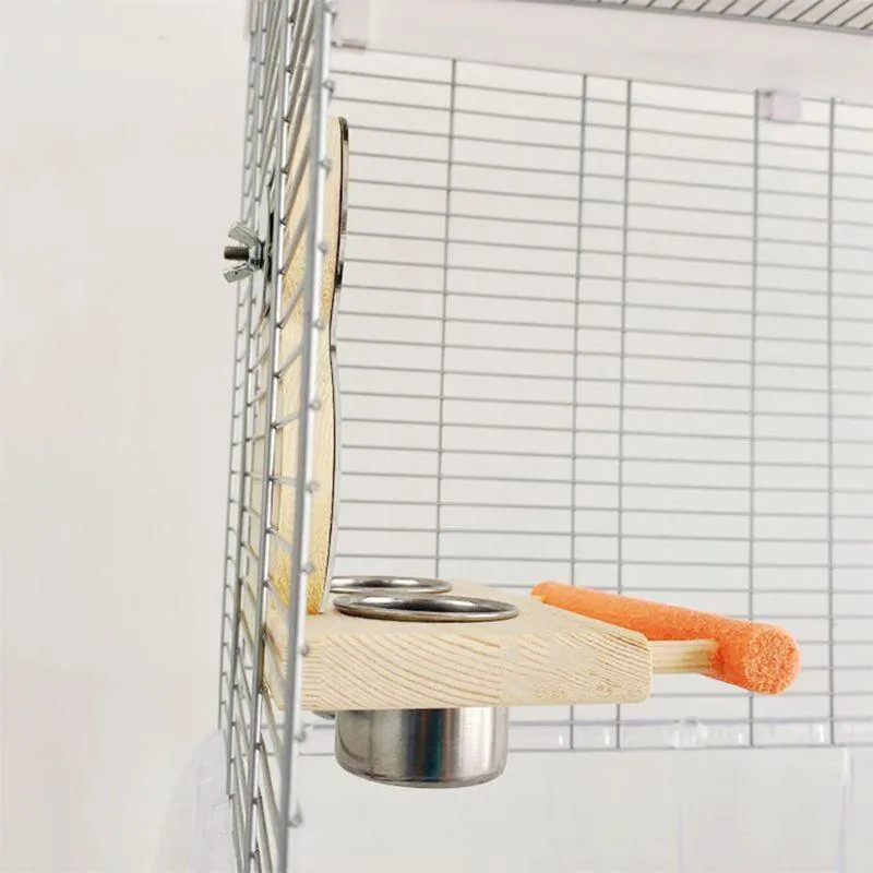 Bird's Feeder with Mirror