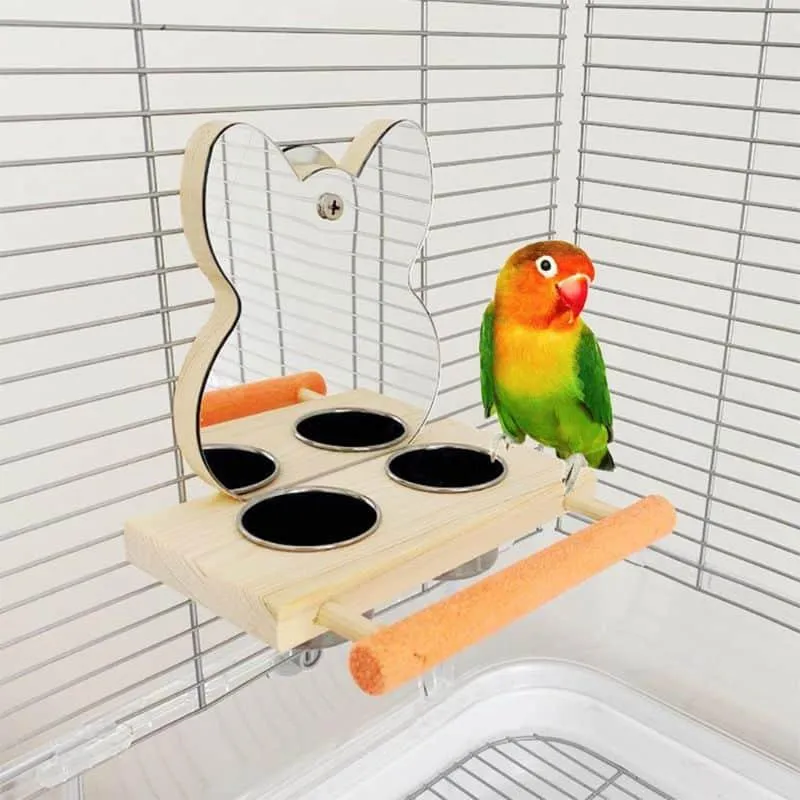 Bird's Feeder with Mirror