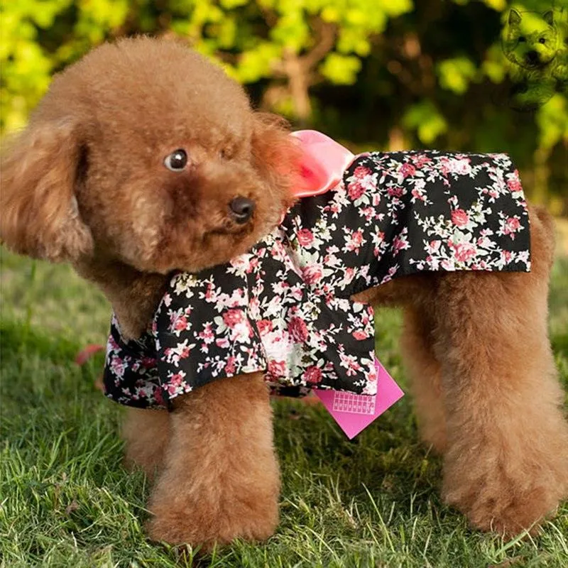Floral Print Costumes For Pets