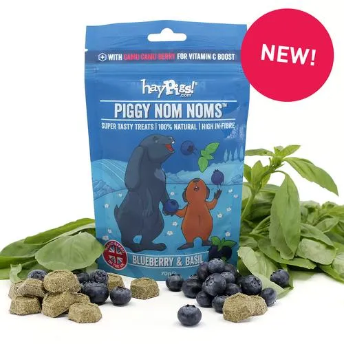 HayPigs Piggy Nom Noms - Blueberry and Basil